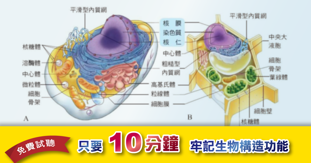 去看看
